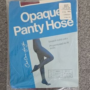 Opaque Panty Hose in Blue
